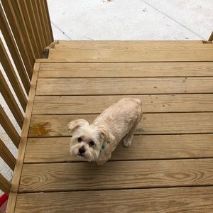 Meet your Posher, Diane